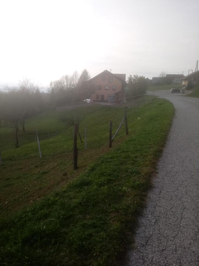 Bed&Breakfast Zilje Vinica Экстерьер фото